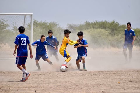 Ante el rotundo éxito que se tuvo en esta competencia, se aseguró que en un futuro cercano se llevarán acabo más torneos juveniles.