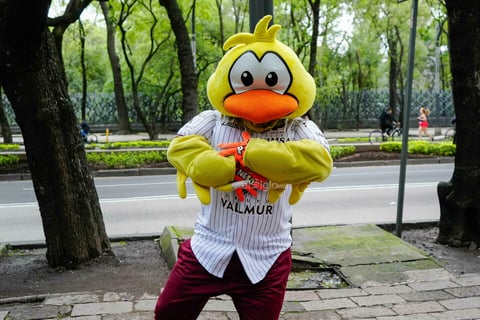 Mascotas de la LMB visitaron fotogalería con motivo del Centenario del circuito veraniego