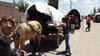 María Lucia Palacios Rodríguez, la mujer más longeva en esta caravana con 85 años, de los cuales no ha fallado en esta tradición en los últimos 45.
