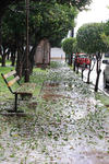 La precipitación sólida duró más de media hora, algo poco habitual para esta parte de la entidad.