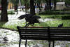 Una mujer se resguarda de la lluvia.