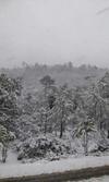 De acuerdo con el meteorólogo Víctor Hugo Randeles, desde de las 8:10 horas se reportaron 12.5 centímetros de nieve en el municipio de Guanaceví, situación que se mantendrá de manera constante.