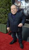 El actor británico Warwick Davis, conocido por los fans de "Potter" como "Professor Flitwick", posó ante los fotógrafos.