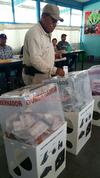 En el municipio de Pánuco de Coronado las elecciones se desarrollan en la mayor tranquilidad y con bastante asistencia de la población principalmente los adultos mayores de 40 años.