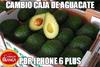 Precio del aguacate 'dispara' los memes