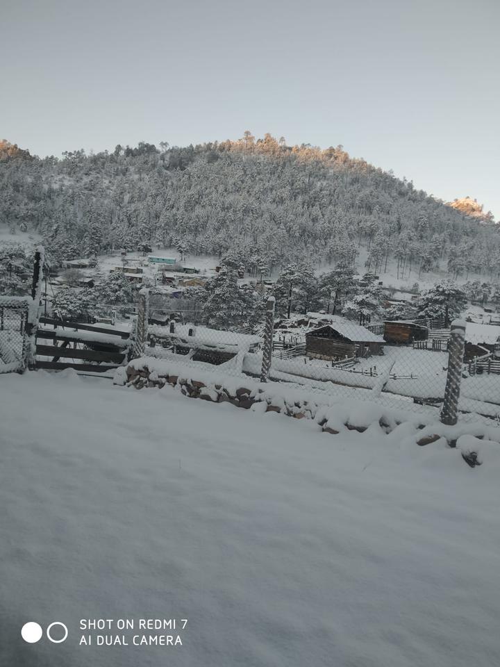 Nieve pinta de blanco a Durango