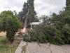 Daños causados por los fuertes vientos en Durango