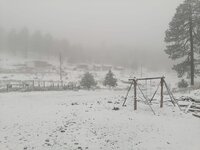 Sierra de Durango se pinta de blanco