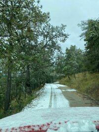Se registró la caída de nieve en comunidades de nueve municipios de Durango, durante este miércoles, de acuerdo al reporte de la Coordinación Estatal de Protección Civil (CEPC).