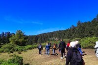 El fin de semana, la Reserva de la Biosfera Mariposa Monarca, ubicada en la sierra de Michoacán, recibió la llegada de miles de mariposas monarcas, un fenómeno que cada año anuncia el inicio de la temporada invernal en México.