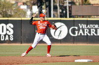 ACEREROS DE MVA vs CALIENTE DE DGO / JUEGO 03