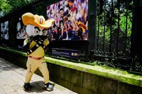 Mascotas de la LMB visitaron fotogalería con motivo del Centenario del circuito veraniego