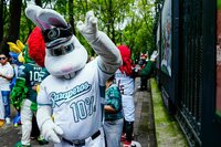 Mascotas de la LMB visitaron fotogalería con motivo del Centenario del circuito veraniego