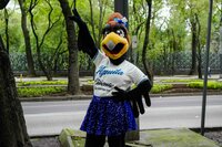 Mascotas de la LMB visitaron fotogalería con motivo del Centenario del circuito veraniego