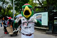 Mascotas de la LMB visitaron fotogalería con motivo del Centenario del circuito veraniego