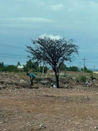 En el lugar aún se pueden ver algunas personas, uno que otro mueble viejo y basura.