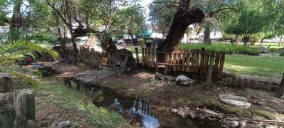 Tras las lluvias, permanece lodo en algunas zonas y malos olores en otras.