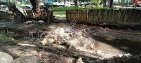 Tras las lluvias, permanece lodo en algunas zonas y malos olores en otras.