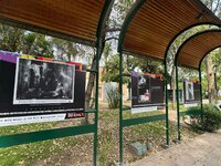 Esta exposición reúne fotografías y documentos visuales con los que se recuperan episodios vinculados con el cine mexicano y la trayectoria de integrantes de la familia Revueltas.