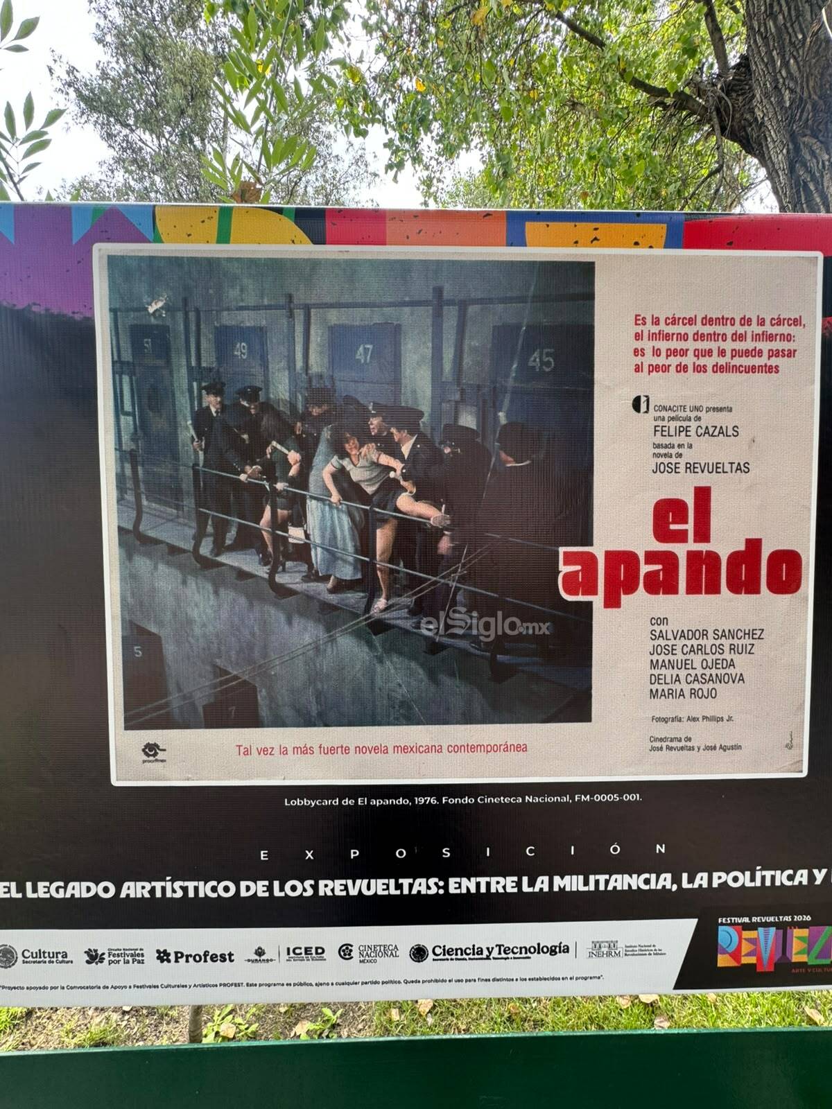Esta exposición reúne fotografías y documentos visuales con los que se recuperan episodios vinculados con el cine mexicano y la trayectoria de integrantes de la familia Revueltas.