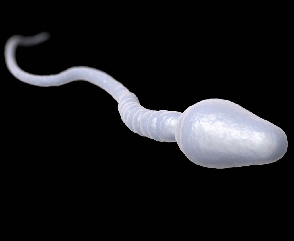 精子活力10%能生育吗 正常精液是什么味道-弱精-好孕帮