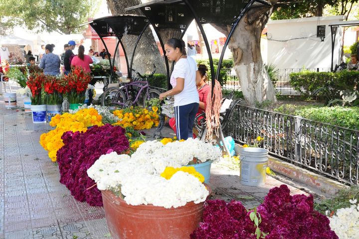 Productores de flor pierden 30% de su cosecha