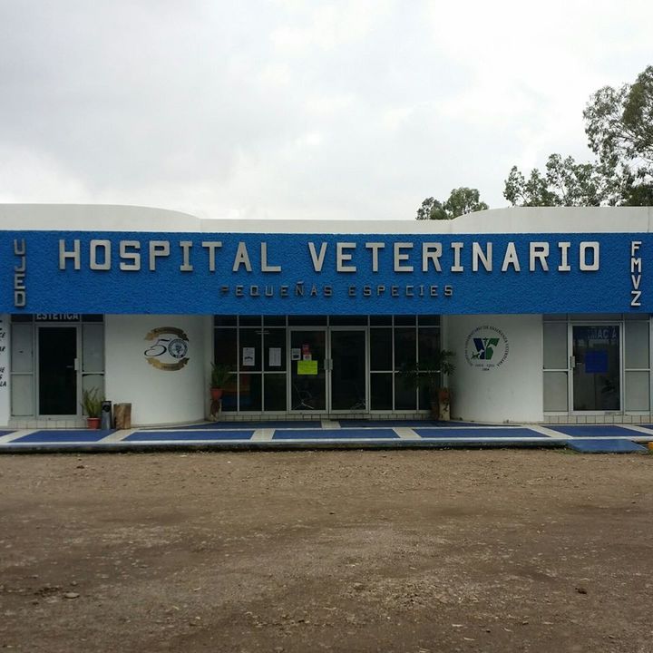 Capacitación y enseñanza en Hospital Veterinario