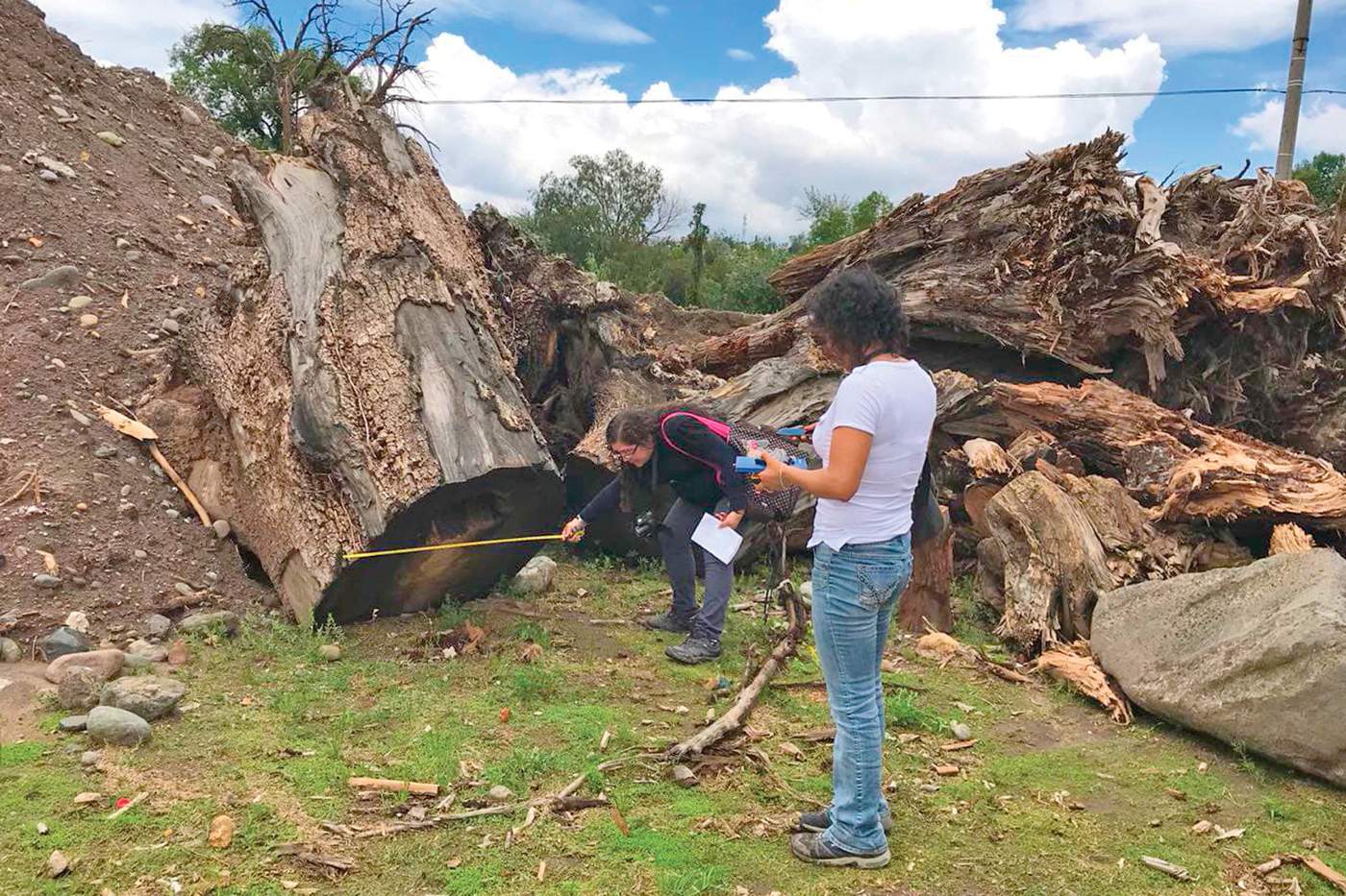 Con una crisis ambiental de suelo, aire, agua y tierra la región de Tula-Tepeji, en el estado de Hidalgo, podría convertirse en una de las zonas más contaminadas, advirtieron grupos ambientalistas. (EL UNIVERSAL)