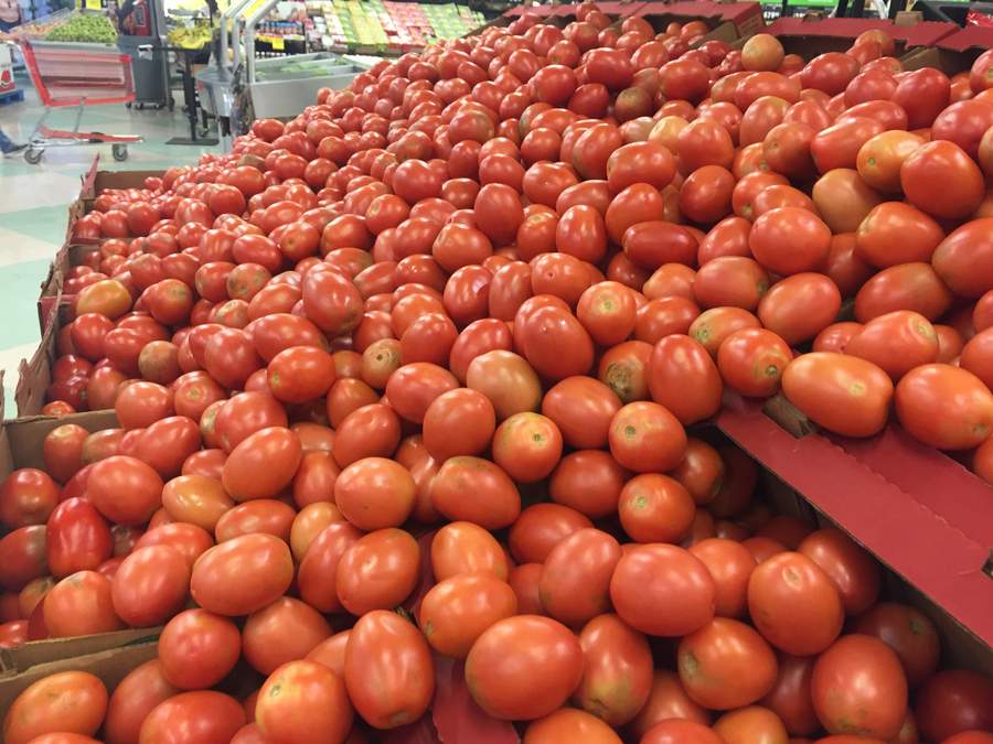 Precio del tomate se desploma un 100 por ciento