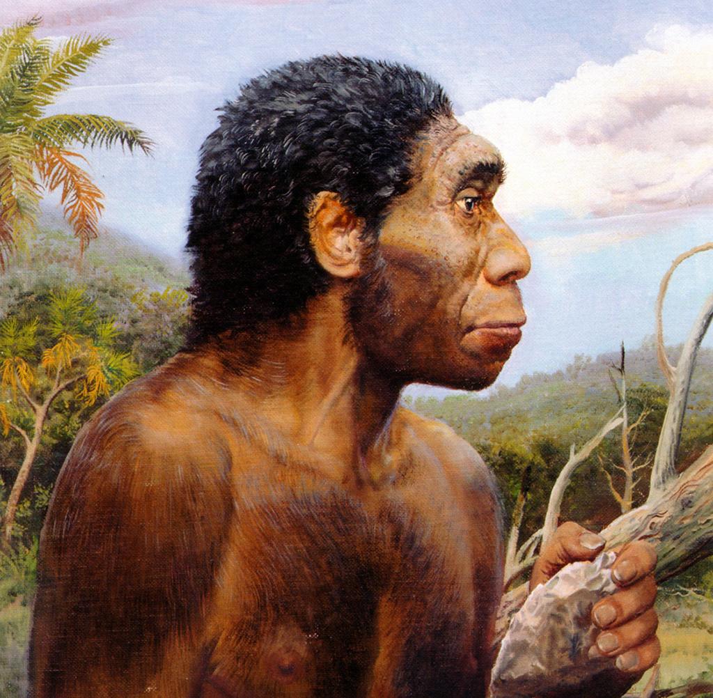 Restos de Homo erectus encontrados en Indonesia