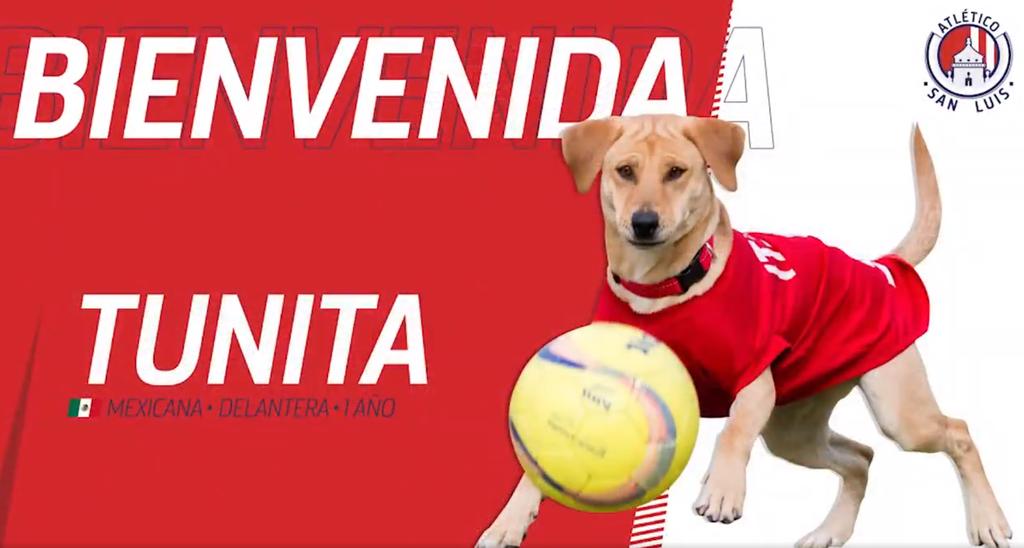 Atlético de San Luis presenta a