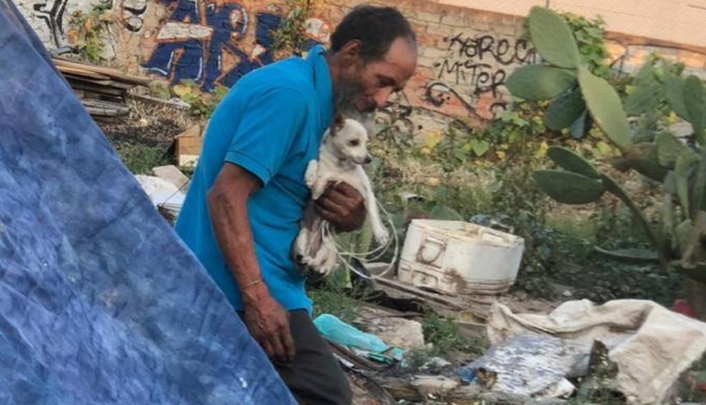 Donan A Pepenador Comida Envenenada Para Sus Perros Y Mueren Varios De Ellos En Jalisco