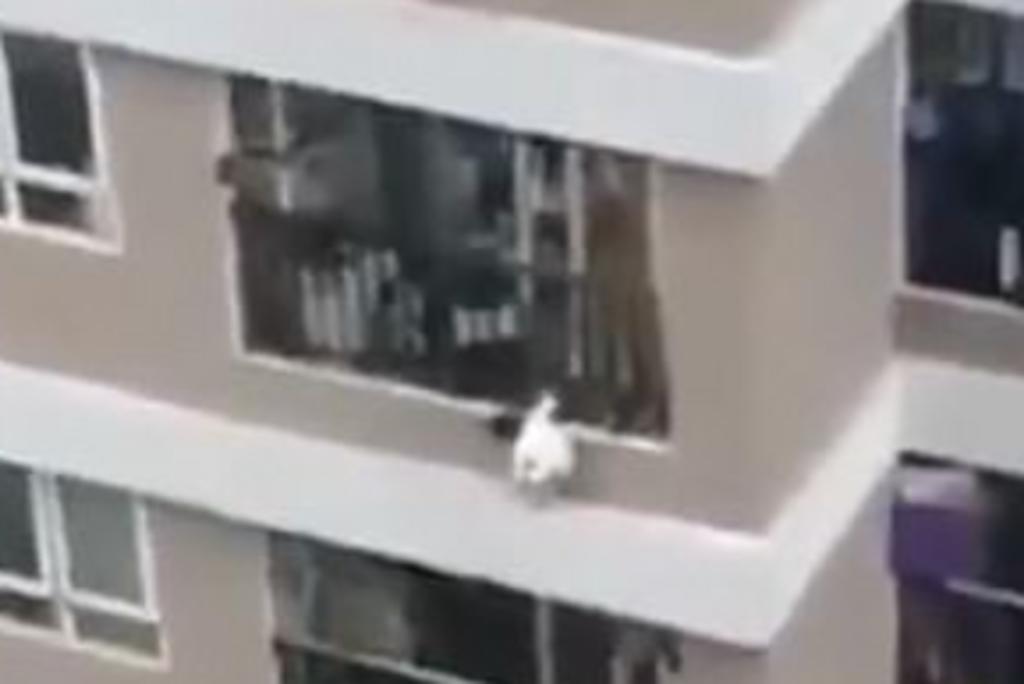 Niña de dos años sobrevive caída desde un duoécimo piso al ser atrapada ...