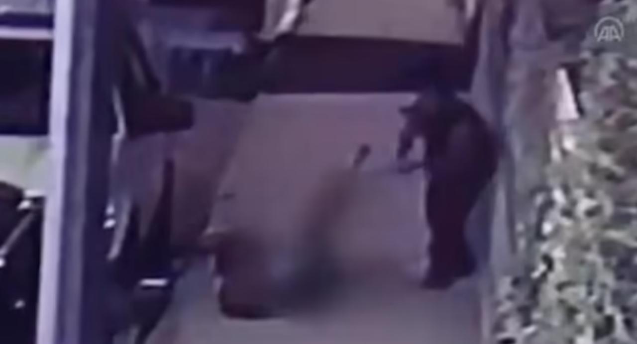 Hombre asesina con una espada a una mujer en plena calle en Turquía