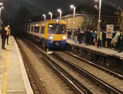 Cisne cae a las vías del metro de Londres y paraliza el servicio por 2 ...