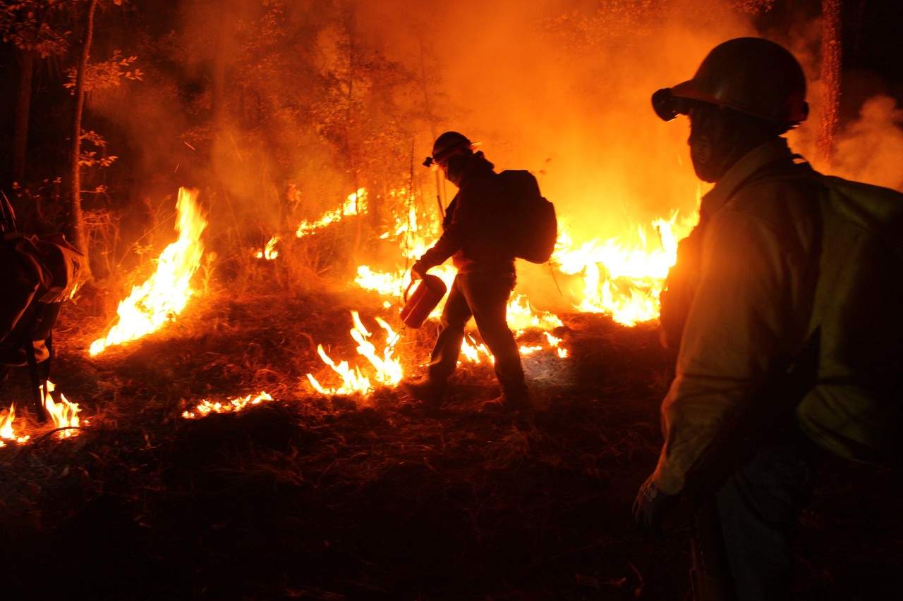 Durango suma 57 mil hectáreas afectadas por incendios forestales