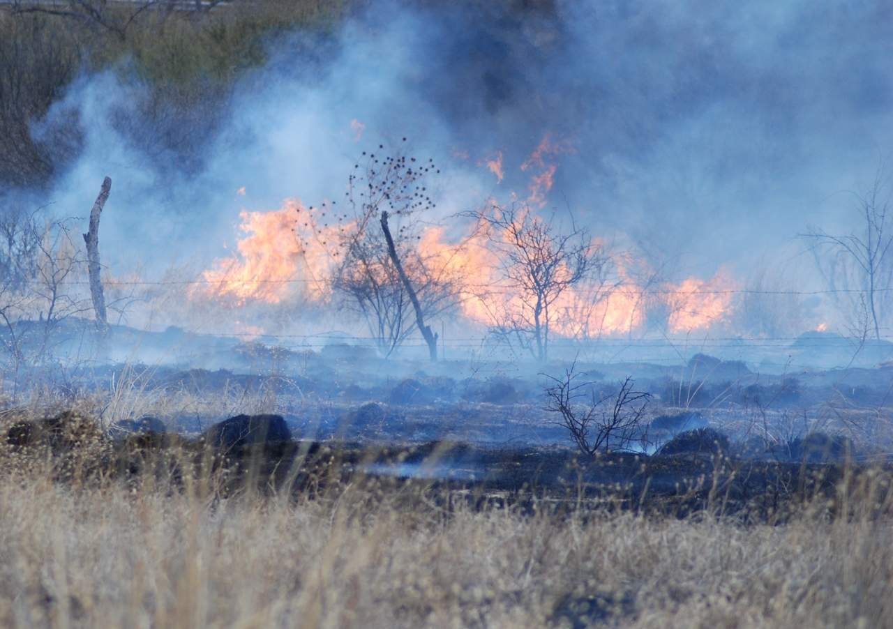 Se registra nuevo incendio forestal en Tepehuanes