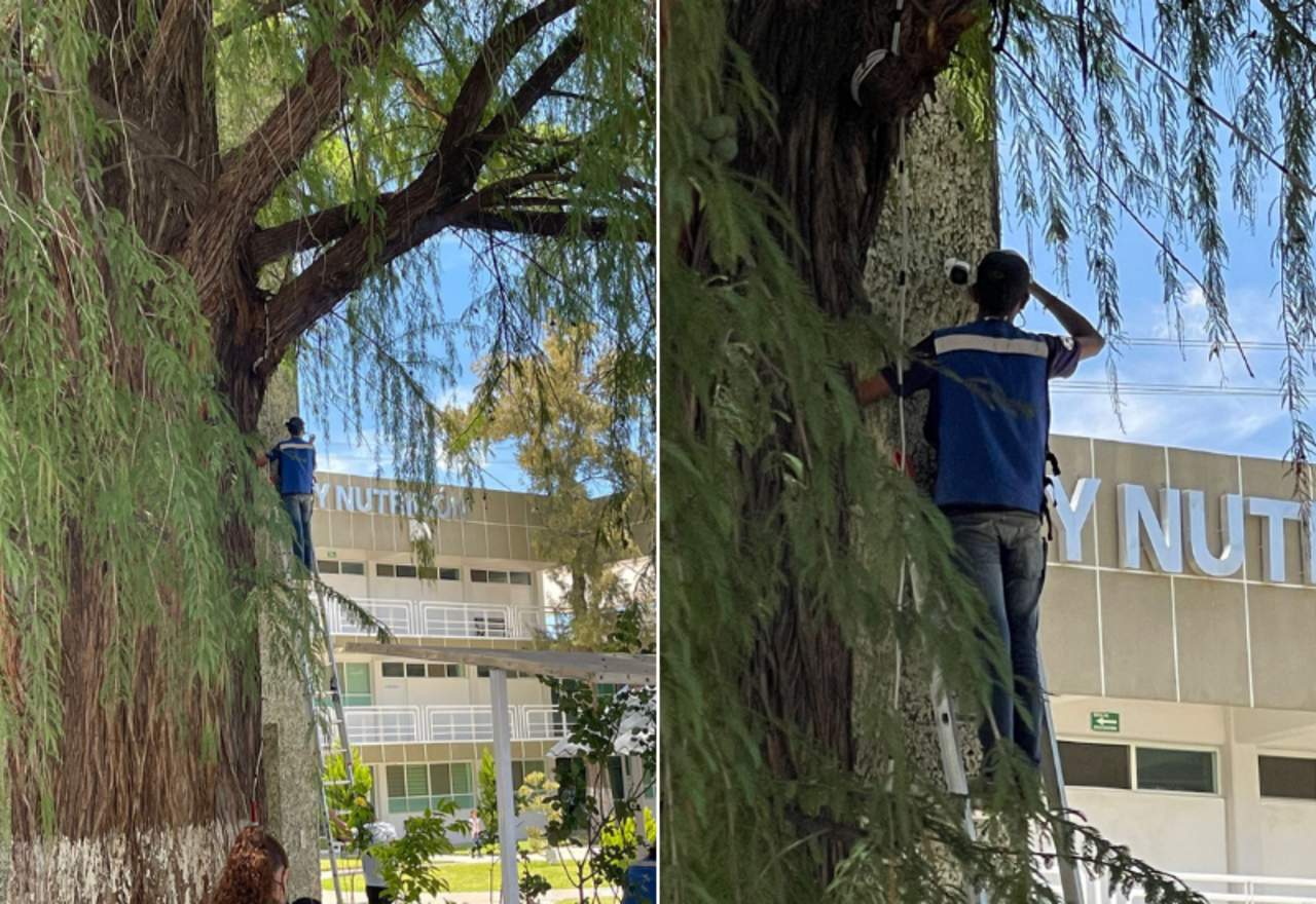 Sigue el paro en el IIC de la UJED; instalan cámaras de vigilancia