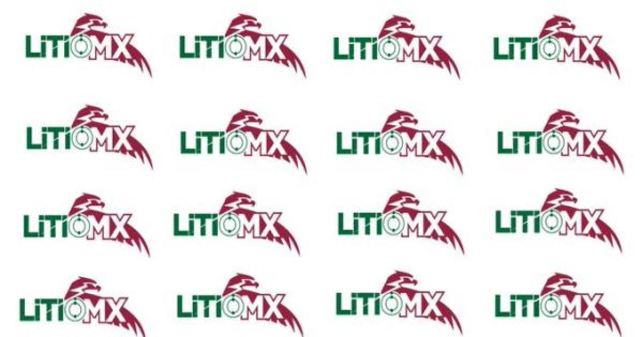 Busca registro de marca y logotipo de LitioMX