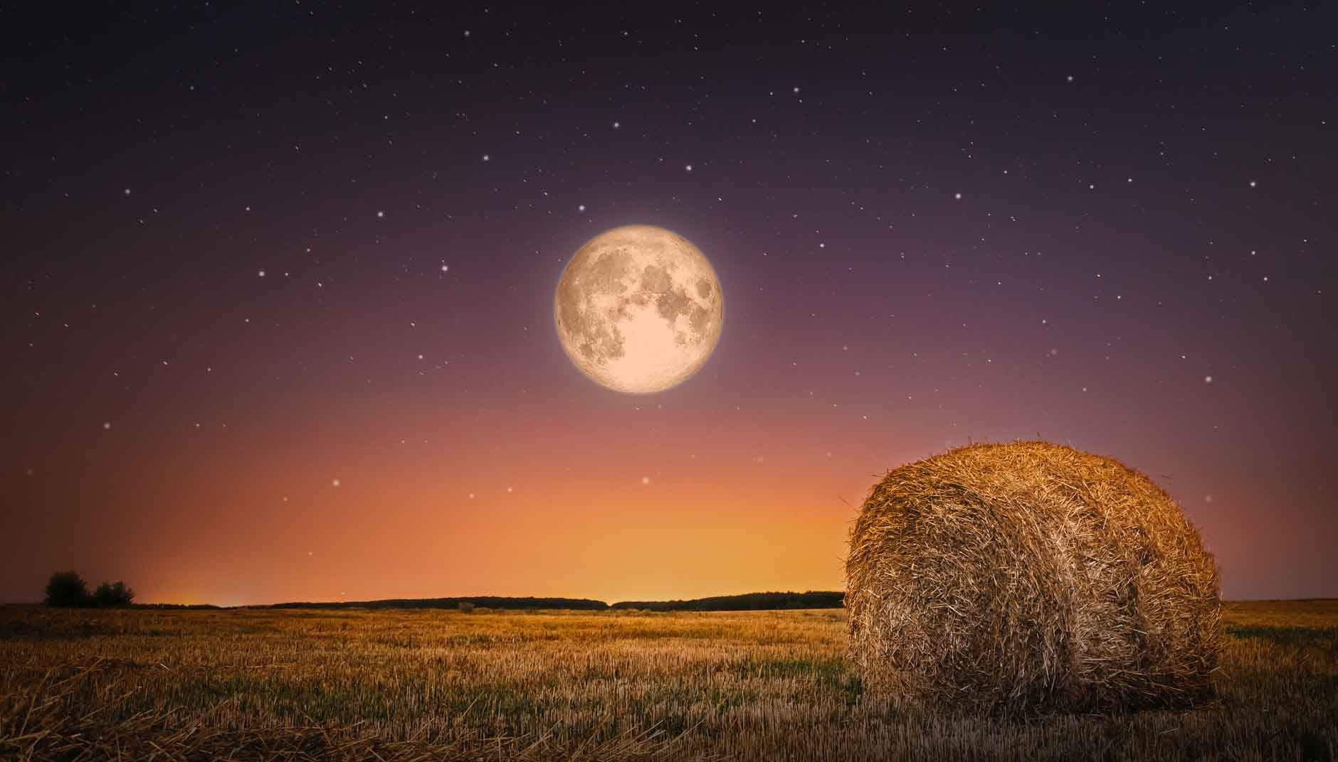 ¿Cuándo ver la Luna llena de septiembre?