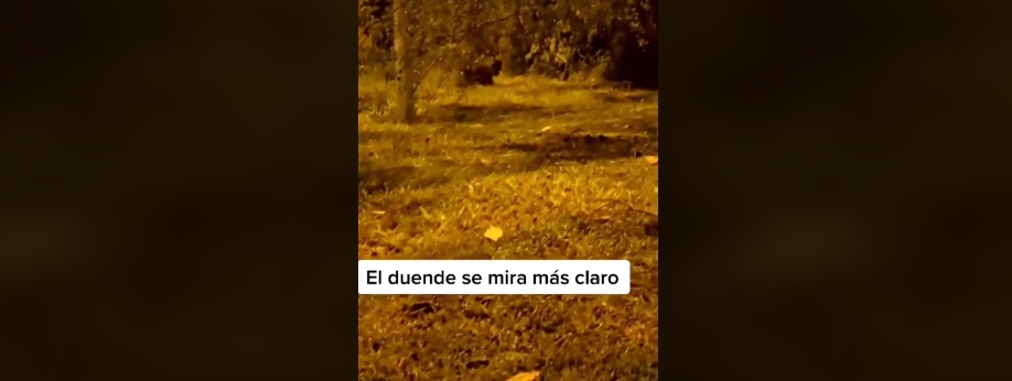 Un niño llorando: Captan en VIDEO a supuesto duende corriendo