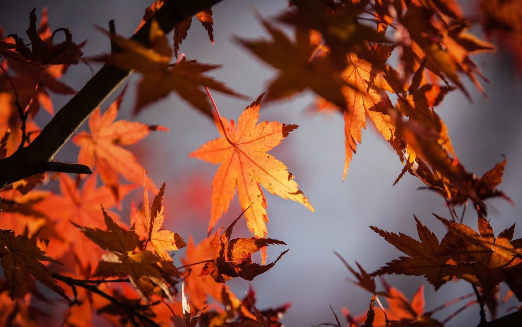 ¿Cuándo empieza el otoño?