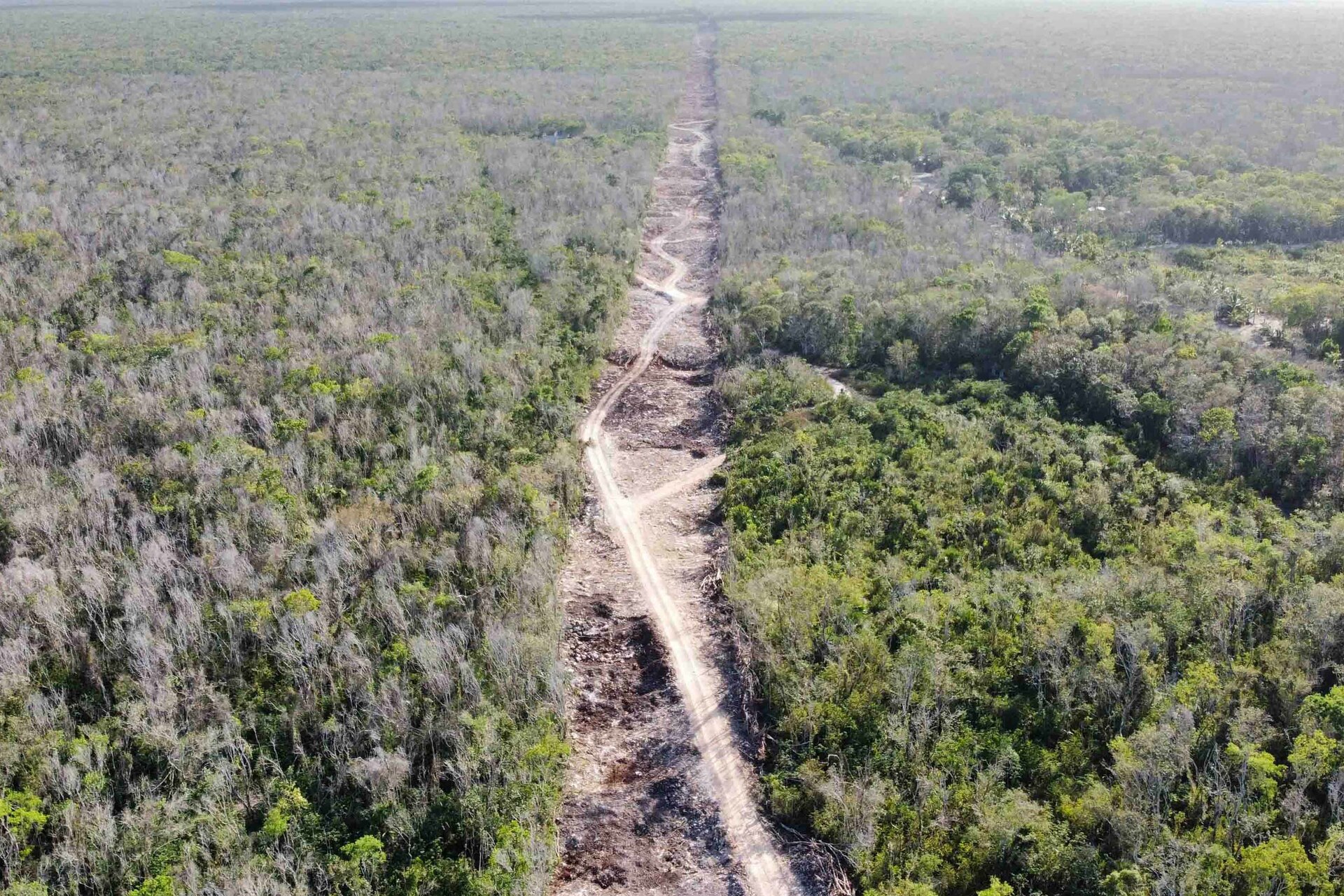 Proyectan Viaducto Elevado Para Tramo Del Tren Maya En Quintana Roo