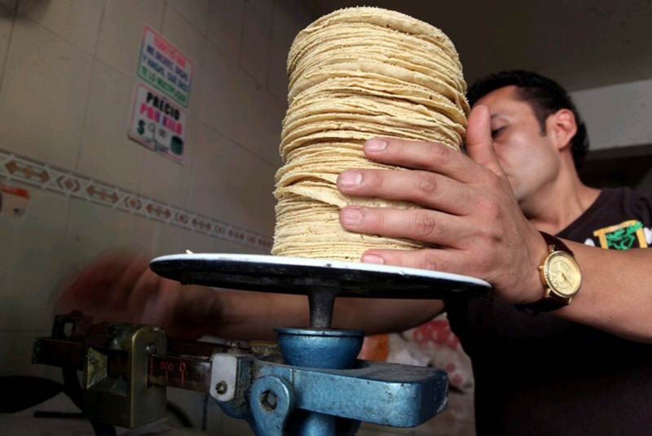 Precios De Tortilla No Bajarán Tras Impuesto Gcma 8610