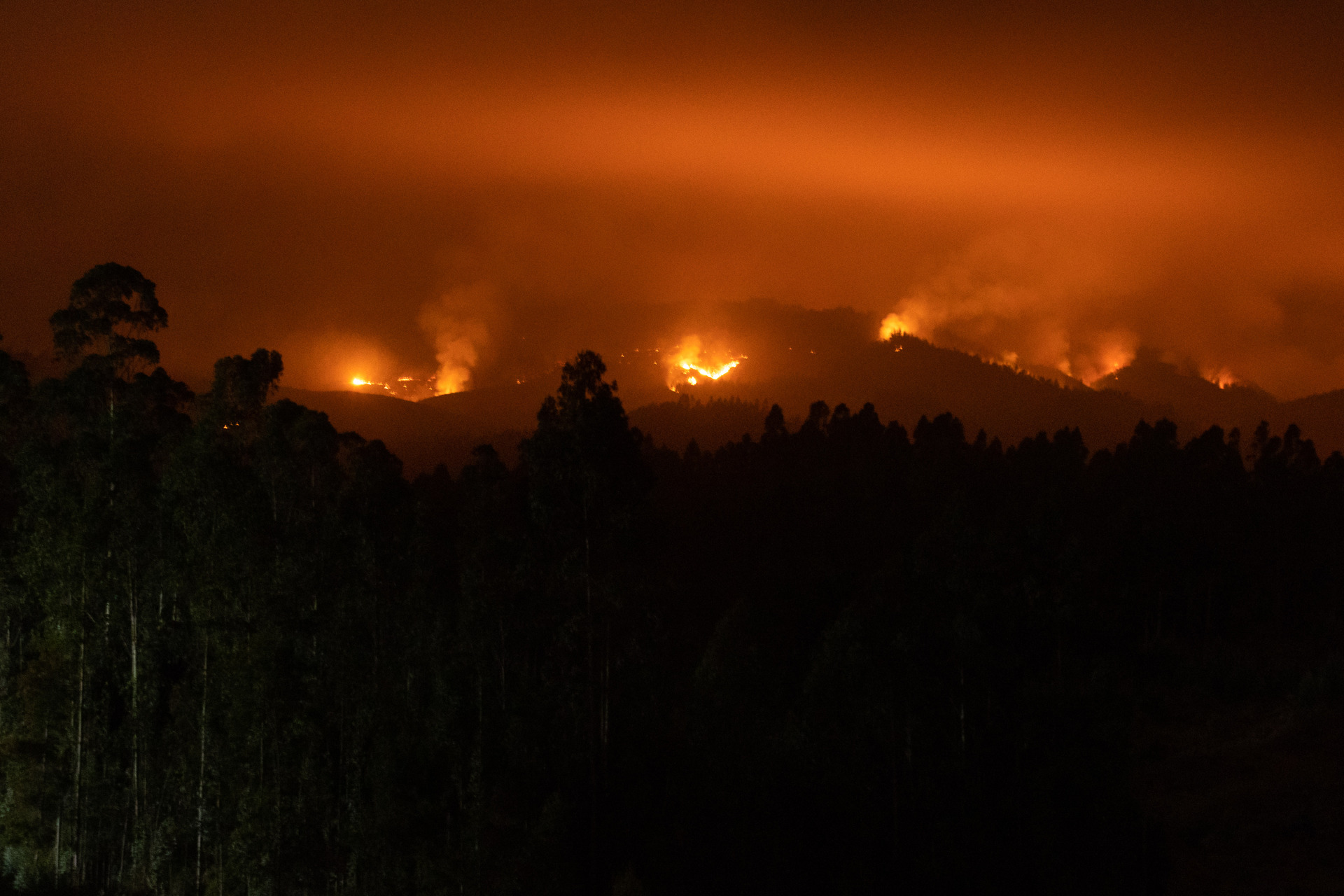 Autoridades Chilenas Detienen A 10 Personas Por Incendios Y Sube A 24 El Número De Muertos 0040