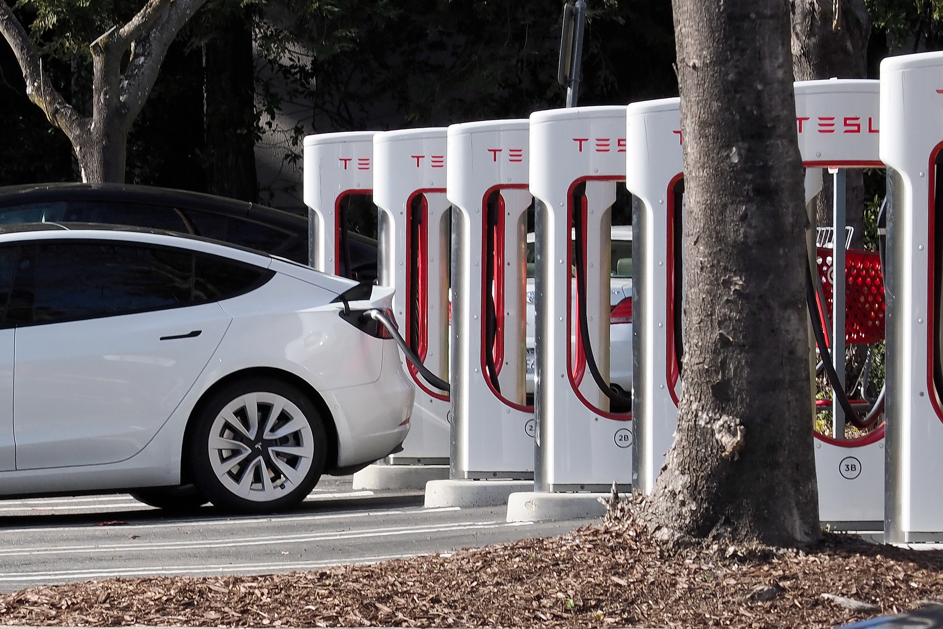 Futuro de Tesla en México, en suspenso; Elon Musk habría decidido ...