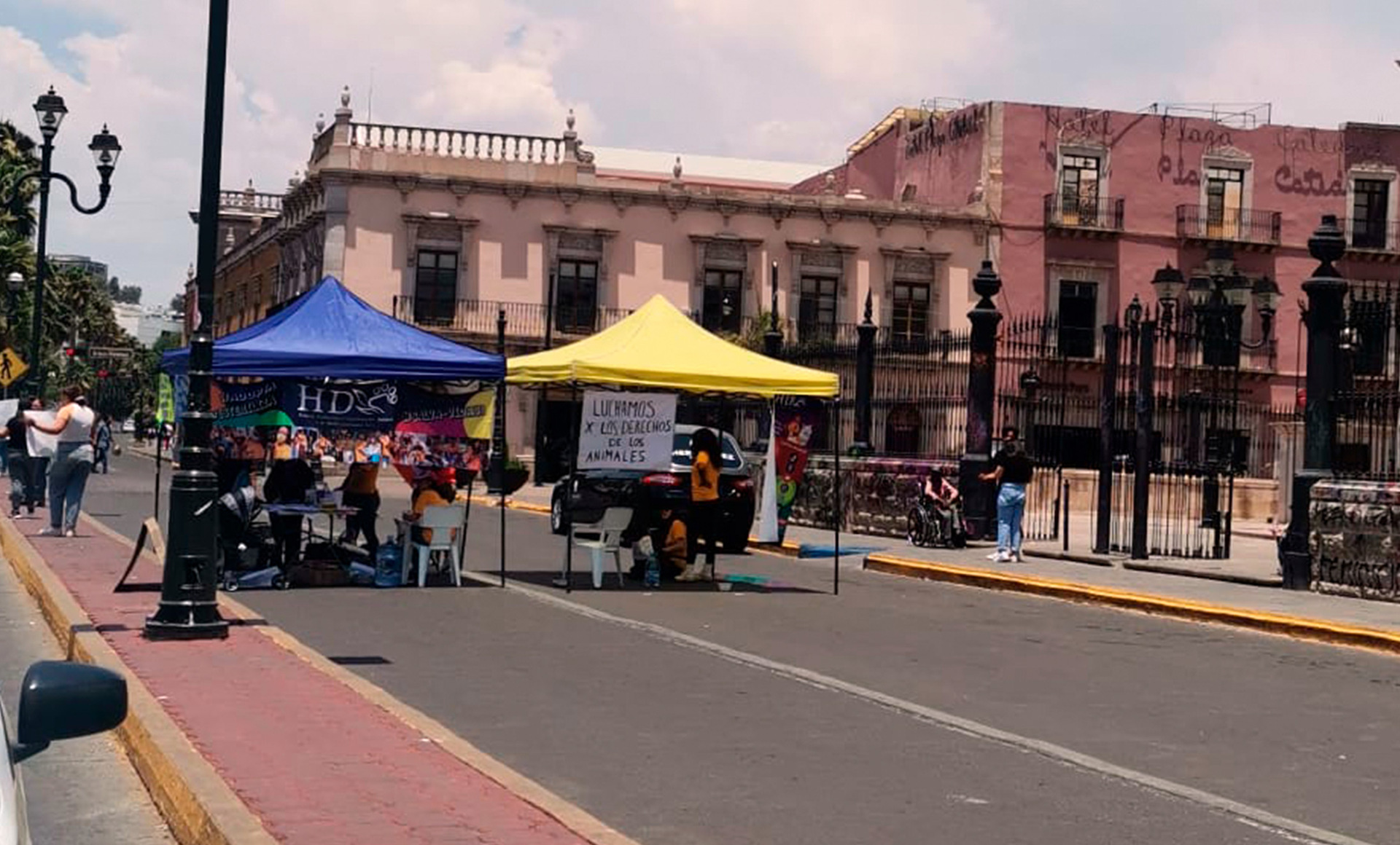 Cierran 20 de Noviembre, para protestar a favor de los animales