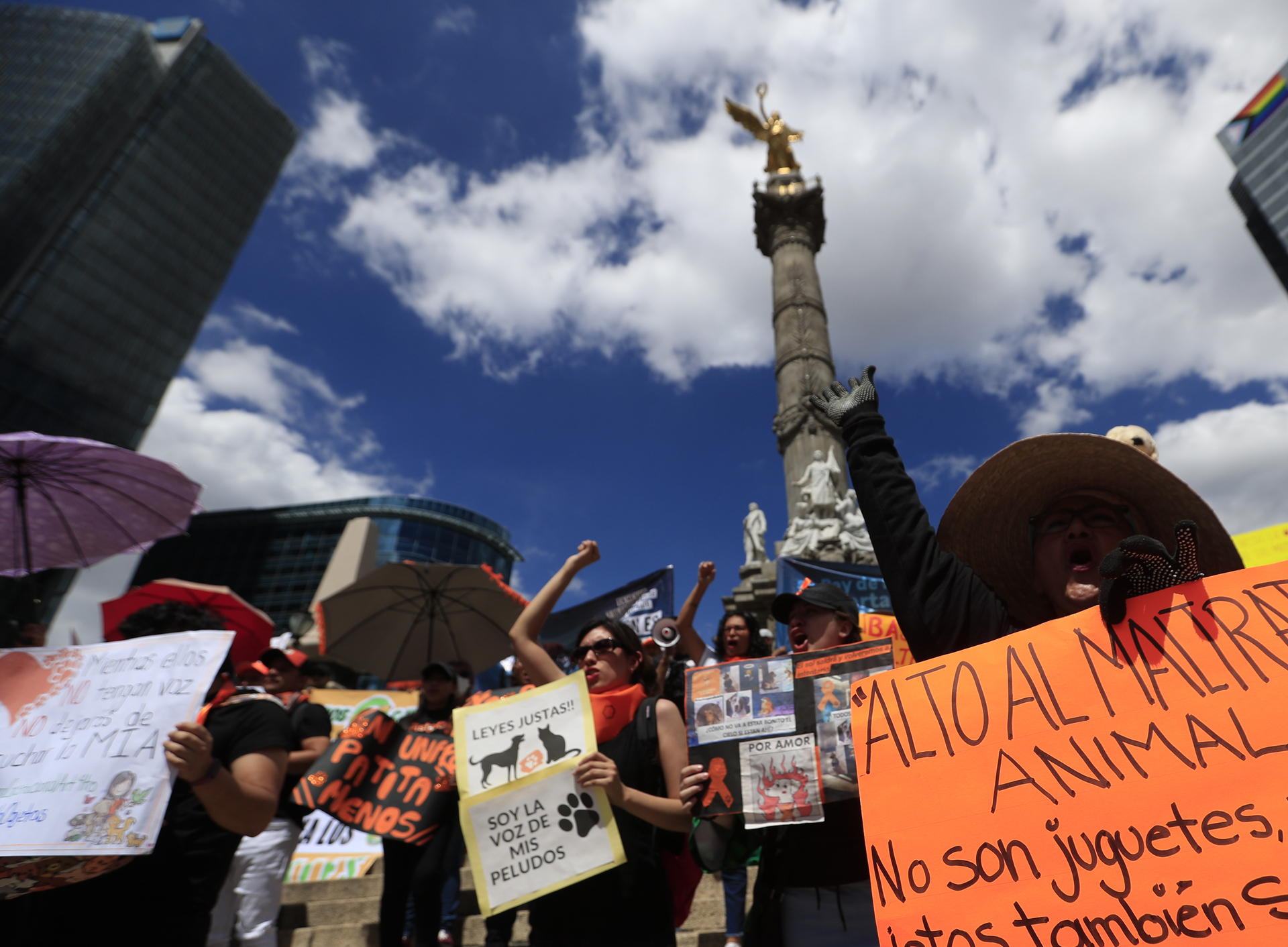 Miles marchan en México para exigir un alto a la violencia y maltrato ...