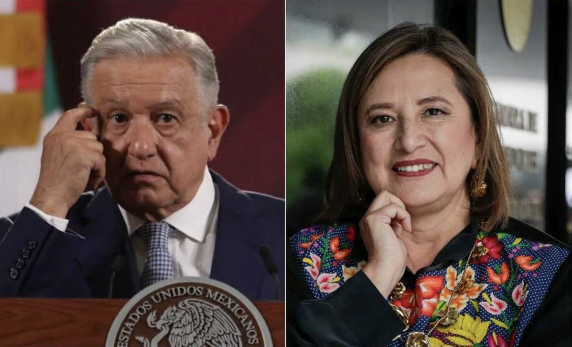 X Chitl G Lvez Responde A Amlo Mi Empresa Es Tan Ch Que Hasta Su