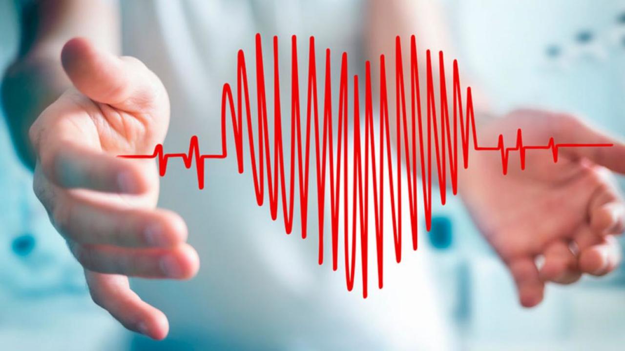 Nuevas pistas sobre el latido del corazón